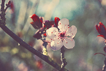 手机号轰在线轰炸